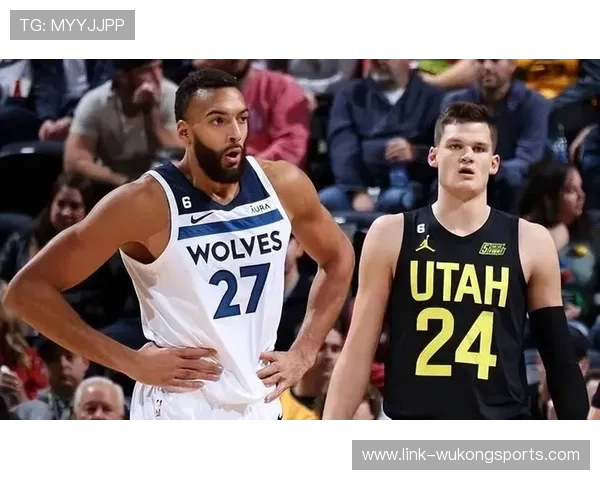 凯斯勒护筐效率领跑联盟，内线屏障作用凸显